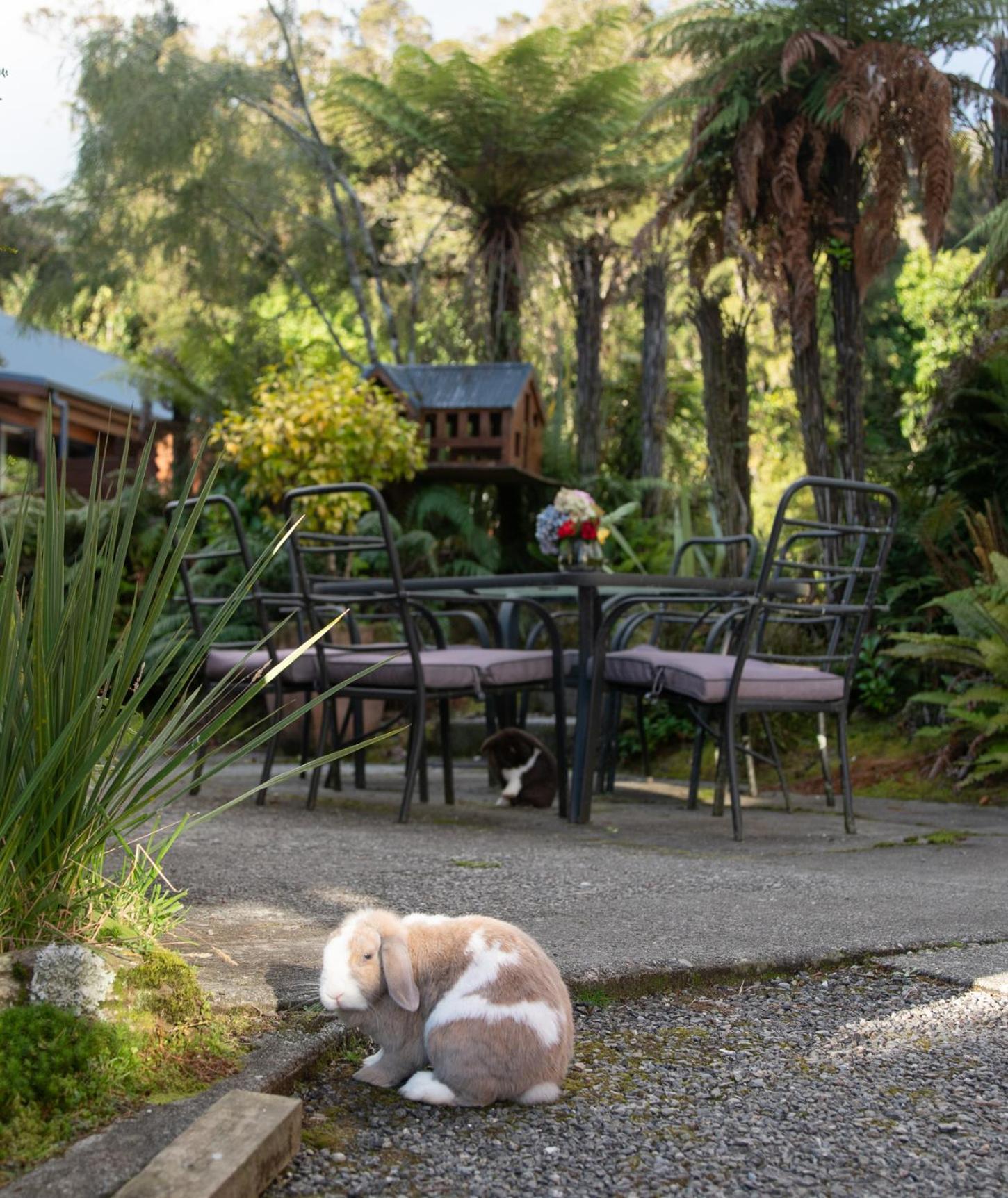 Fox Glacier Lodge Exterior foto